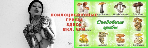 экстази Богданович