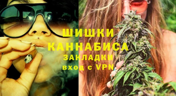PSILOCYBIN Богородицк