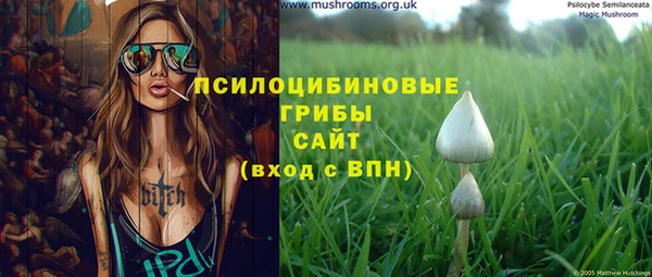 бошки Покровск