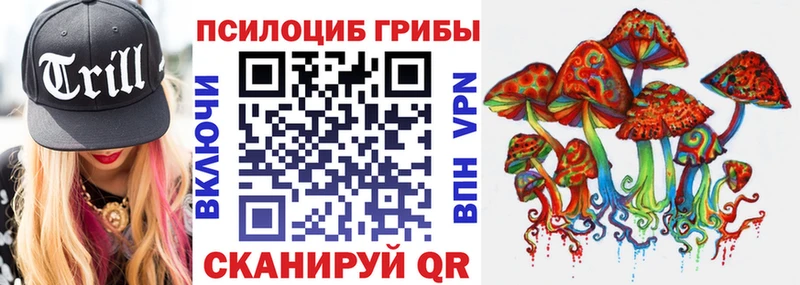 Купить закладки  Бабушкин  Псилоцибиновые грибы GOLDEN TEACHER 